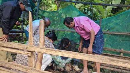 സുൽത്താൻബത്തേരി: പാടിച്ചിറ തറപ്പത്ത് കവലയിൽ പുലിയുടെ ആക്രമണത്തിൽ രണ്ട് ആടുകൾക്ക് പരിക്ക്