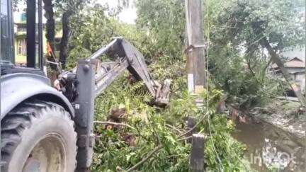আলিপুরদুয়ার ১: আলিপুরদুয়ার শহরের লোহারপুল এলাকায় শতাব্দী প্রাচীন গাছ ভেঙে যানজট,ঘটনাস্থলে পুরসভার চেয়ারম্যান