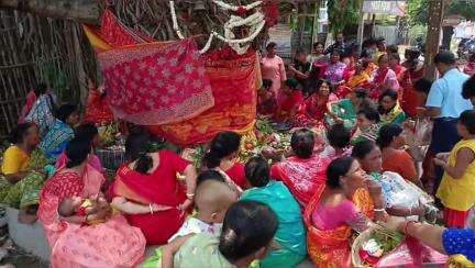 গাজোল: শ্যামসুখী বালিকা উচ্চ বিদ্যালয় সংলগ্ন বট পাকুর গাছের তলায় জামাইষষ্ঠী পালন, পুজো দিতে মহিলাদের ভিড়