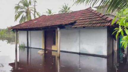 ചാവക്കാട്: കനോലി കനാൽ കരകവിഞ്ഞതോടെ പുന്നയൂർ പഞ്ചായത്തിൽ 25 ഓളം വീടുകൾ വെള്ളക്കെട്ടിൽ #localissue