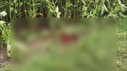কৃষ্ণনগর ১: ভাজনঘাট টুঙ্গি এলাকার উদ্ধার অজ্ঞাত পরিচয় মহিলার রক্তাক্ত মৃতদেহ, নিয়ে আসা হলো জেলা হাসপাতাল শক্তিনগর পুলিশ মর্গে