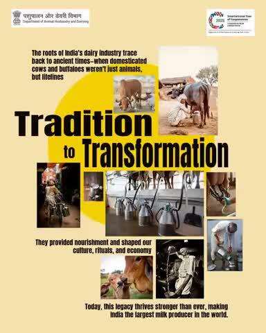 From Tradition to Transformation What began as a humble practice of rearing cows and buffaloes has grown into a global dairy powerhouse.
India – the world's largest milk producer!
