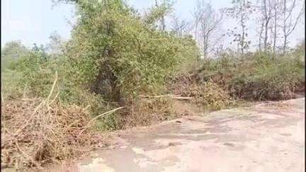 दारव्हा: बोथ फाटा रस्त्यावरील नाल्यावरील पूल उंच करण्याची ग्रामस्थांची मागणी,जिल्हा परिषद बांधकाम विभागाला दिले निवेदन