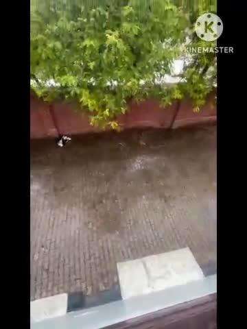 भिवानी: भिवानी में पश्चिमी विक्षोभ से मध्यम से तेज बारिश, मौसम वैज्ञानिकों ने 4 जून तक मौसम में बदलाव बताया