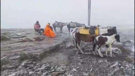 कुल्लू: रोहतांग दर्रा और ग्रेट हिमालयन नेशनल पार्क सहित ऊंची पहाड़ियों पर हुई बर्फबारी, तापमान में आई गिरावट