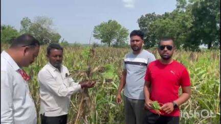 अहमदपूर: टेंभुर्णी शिवारातील शेतकऱ्यांनी अवकाळी पावसामुळे झालेल्या नुकसानीच्या शासनाकडे मांडल्या व्यथा #Jansamasya