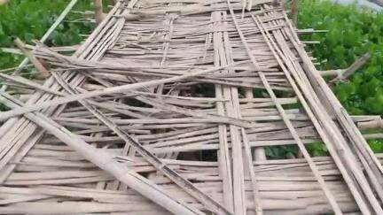 শীতলকুচি: কাচারিঘাটে নির্ণেয়মান  সেতুর পাশে অবস্থিত বাসের সাঁকো সংস্কারের দাবি  এলাকাবাসীর  #jansamasya