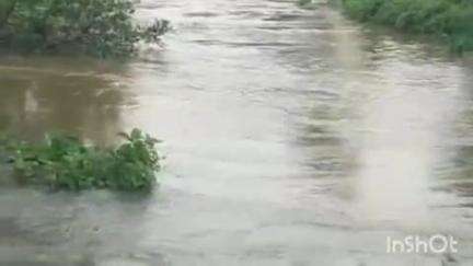കോഴഞ്ചേരി: ജില്ലയിൽ ദുരിതാശ്വാസ ക്യാമ്പുകളായി പ്രവർത്തിക്കുന്ന സ്കൂളുകൾക്ക് ജൂൺ 2 ന്  ജില്ലാ കളക്ടർ അവധി പ്രഖ്യാപിച്ചു