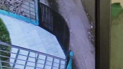 मंझनपुर: उखैया खास में बकरा-बकरी चोरी की बड़ी वारदात, ताला तोड़कर कार में भरी गई 1 बकरी व 5 बकरा