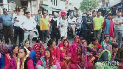 सोमेश्वर: महिलाओं ने सोमेश्वर चौराहे में निराश्रित गोवंशों के आतंक से निजात दिलाने की मांग को लेकर दिया धरना, जताई नाराजगी