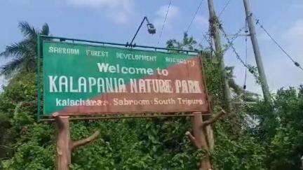 সাব্রুম: কলাছড়া কালাপানিয়া নেচার পার্ক অযত্নে নষ্ট হতে চলেছে, পার্কটি দ্রুত সংস্কারের দাবি জানান জনগন  #jansamasya