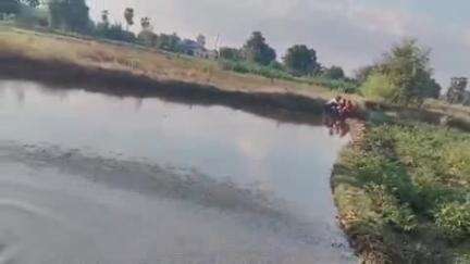 मखदुमपुर: रोहिणी नक्षत्र चढ़ते ही मखदुमपुर प्रखंड में धान का बिछड़ा डालने में आई तेजी