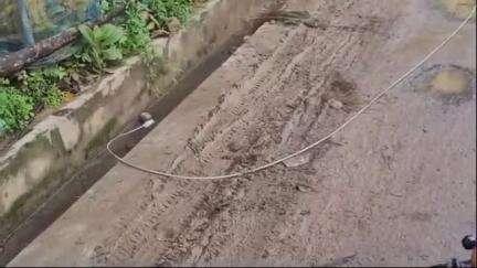 আমবাসা: আমবাসা বিবেকানন্দ নগরে ছিঁড়ে পড়া বিদ্যুতের তার, বড় দুর্ঘটনার আশঙ্কা #jansamasya