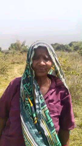 मलिहाबाद: काकोरी में मलिहाबाद के कनार गांव की रहने वाली दादी को डीसीएम ने रौंदा, हुई मौत