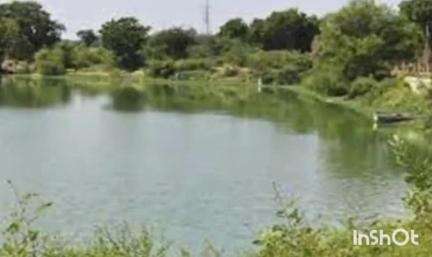 गोंदिया: हड्डीटोली तलाव ठरतोय धोकादायक आतापर्यंत पाच जणांचा मृत्यू रेल्वे प्रशासनाचे दुर्लक्ष #jansamasya