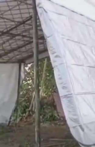 फतेेहपुर: 3 साल से चल रहा बौद्ध भिक्षुओं का धरना समाप्त, पपेहरा गांव का जमीन विवाद सुलझा, प्रशासन ने पट्टा आवंटित किया