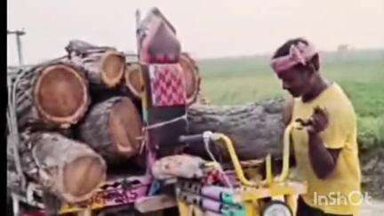 चौसा: चौसा प्रखंड: बाबा विशुराउत मंदिर परिसर से शीशम का पेड़ काटा गया, पुलिस जांच में जुटी
