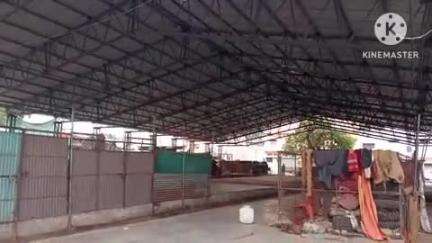 खुरई: सब्जी मंडी में दुकानदारों व थोक विक्रेताओं को पीने का पानी,केलाइट,सफाई व कॉम्प्लेक्स आदि की सुविधा नहीं है,#jansmasya