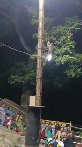 தென்காசி: ஐந்தருவியில் குழந்தைகளுக்கு கொடுக்கும் புட்டி பாலை பிடுங்கி சென்று குடித்து மகிழ்ந்த குரங்கு