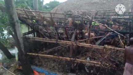নলহাটি ২: বিরোলচৌকি গ্রামে বাজ পড়ে পুড়ে গেল একটি বাড়ি ও পোল্ট্রি ফার্ম, আহত মালিক