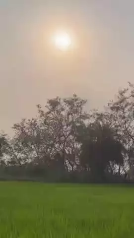 कृषक उन्नति योजना अंतर्गत किसानों को मिलेगी धान की शेष राशि

ग्राम कोनारी के छबील को मिलेंगे लगभग 90 ₹, पुराने मकान की कराएँगे मरम्मत।

#कृषक_उन्नति_योजना