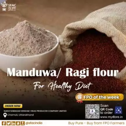 A natural way to prevent calcium deficiency is to include Ragi flour in your daily diet.