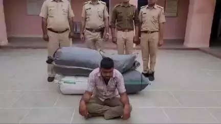 #थाना कुचेरा:- लोकसभा चुनावों के मध्यनजर बड़ी कार्यवाही करते हुए 08 लाख रूपए कीमत का 53 किलो 500 ग्राम अवैध डोडा पोस्त बरामद कर, आरोपी अशोक को ग्राम चकढाणी से किया #गिरफ्तार।