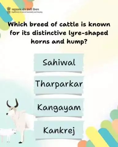 Which breed of cattle is known for its distinctive lyre-shaped horn and hump?
#cattle #livestock #indigenousbreed #quiz

✅ Comment your answer below.