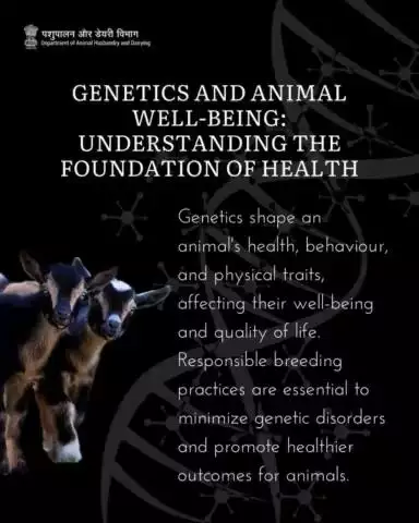 Unlocking the Genetic Blueprint: Enhancing Animal Well-being through Responsible Breeding. #animalwelfare #LivestockCare #animalcare #animalhusbandry #breeding
