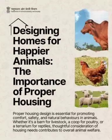 Building Homes for Happy Animals: Designing Spaces that Promote Welfare and Natural Behaviors. #animalwelfare #animalcare #livestockcare #animalhusbandry