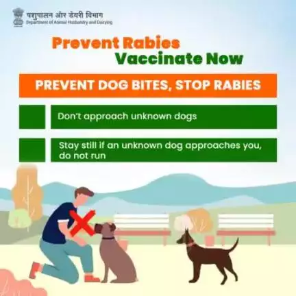 Prevent Rabies, Vaccinate Now! 
PREVENT DOG BITES, STOP RABIES: Stay still if approached by an unknown dog, don't run. #PreventRabies #vaccinatenow