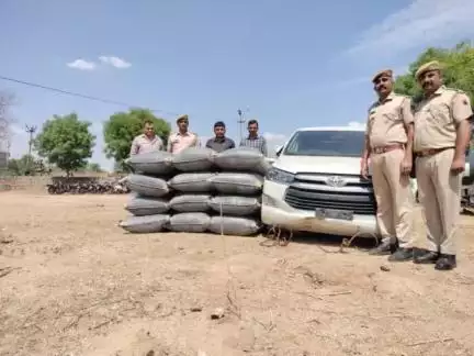 #PaliPolice
SHO खिंवाड़ा व टीम की कार्रवाई, 475 कीलो 850 ग्राम डोडा पोस्त जब्त।
