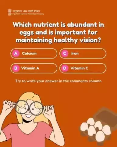 Test your egg-spertise with our #egg-cellent quiz! 

Think you know your yolks from your whites? 

Stay tuned for some cracking questions!
#QuizTime #Quiz