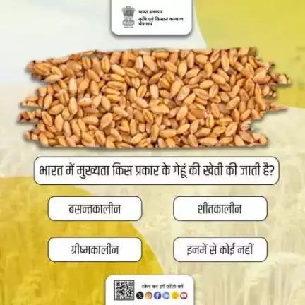 कृषि क्विज़ में हिस्सा लें व परखें अपना ज्ञान!
. 
भारत में मुख्यता किस प्रकार के गेहूं की खेती की जाती है? अपना जवाब कमेंट में साझा करें।
#agrigoi #agriculture #agriquiz #quizoftheday