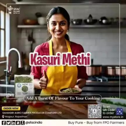 Adulteration-free, pure & naturally grown kasuri methi. Packed with aromatic flavour & healthy goodness.