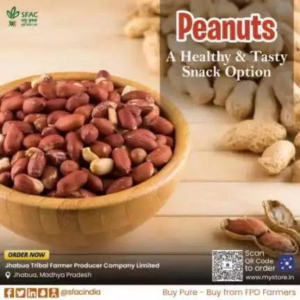 A protein-rich, crunchy & healthy snack, perfect for on-the-go munching. Also, add these premium-quality peanuts to your favorite recipes.
Buy straight from FPO farmers 👇
https://www.mystore.in/en/product/peanuts-5