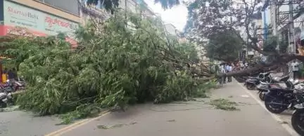 Slow-moving traffic due to tree fallen at 27th main road Parangipalya towards IDC hotel, Kindly co-operate.
