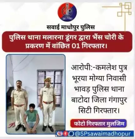 #SawaiMadhopur भैंस चोरी के प्रकरण में वांछित आरोपी गिरफ्तार।