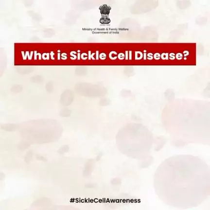 Spread awareness and help fight against Sickle Cell Anemia by staying informed and proactive.
#SickleCellAwareness