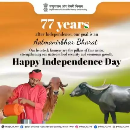 May #India reach new heights,
And may the #Tiranga always soar high,
The Department of Animal Husbandry and Dairying, GoI, wishes everyone a Happy Independence Day!
#IndependenceDay2024