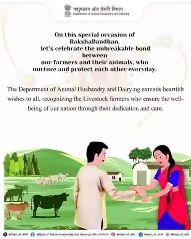 Celebrating the bond of care and protection that farmers share with their animals this #RakshaBandhan. Just like siblings, they support each other every day. The Dept of Animal Husbandry and Dairying wishes everyone a Happy Raksha Bandhan.