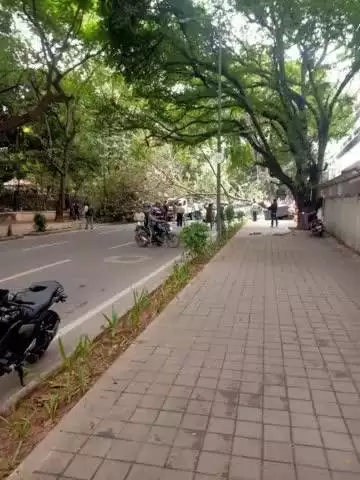 Due to a tree fall on  Rajbhavan Road, the road is closed for traffic. Commuters are requested to use right and left turns at Police Timmaiah junction, Will be cleared soon. Commuters are requested to cooperate