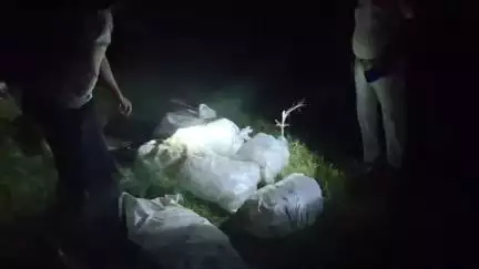 शराब कारोबारिया  के विरुद्ध कनौली थाना बड़ी  कारवाई। 620 बोतल कुल मात्रा 186 लीटर  देशी दिलवाले शराब बरामद किया गया ।