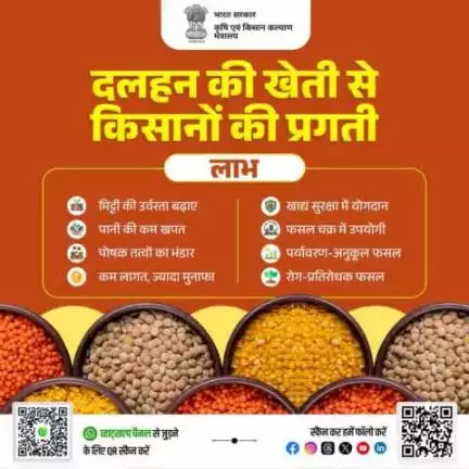 दलहन की फसलें न केवल मिट्टी की उर्वरता बढ़ाने में सहायक होती हैं, बल्कि फसल उत्पादन को भी बेहतर बनाती हैं। #agrigoi #pulses #soilhealth