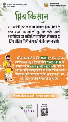 नजदीकी सीएससी सेंटर पर जाकर रबी सीजन 2025 फसल बीमा कराए अंतिम दिनांक 10 जनवरी ।