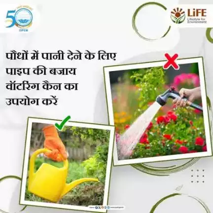 पौधों को पानी देने के लिए होज़ पाइप के बजाय वॉटरिंग कैन का उपयोग करने से पानी की बचत होती है।  आइए पानी की बचत के प्रति सजग रहें!   #SaveWater #MissionLiFE 
#railminindia 
#gmblw