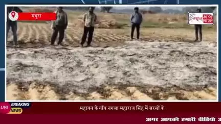 महावन के गाँव नगला महाराज सिंह में सरसों के ढेर में लगी आग, किसान को हुआ लाखों का नुकसान
#महावन #गाँव #नगला #महाराज