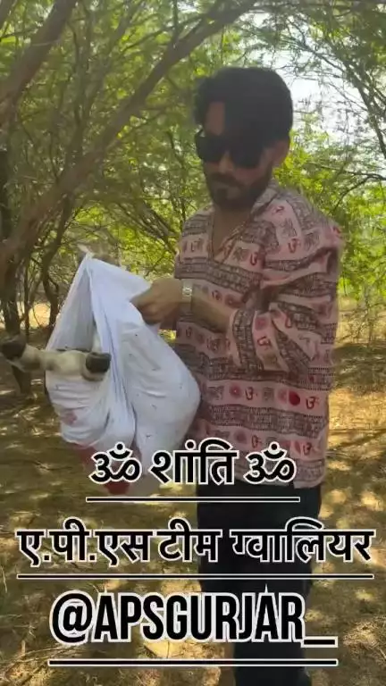 न तो पैर बचे, न ही कान 🥺 ...Respect Girls help poor help animals #apsgurjar #help #rip #cow #gwalior