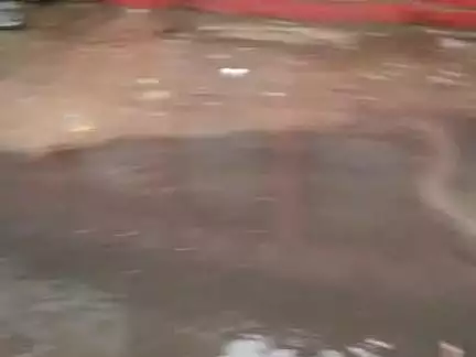 #nadbai # nagarpalika Kasganj road nadbai ka hal dekho