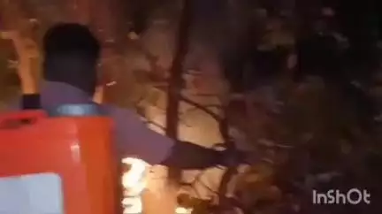 সারেঙ্গা: ফের আগুন লাগার ঘটনা ঘটলো সারেঙ্গার কাঁড়ভাঙ্গার জঙ্গলে, ঘটনাস্থলে বনদপ্তরের কর্মীরা